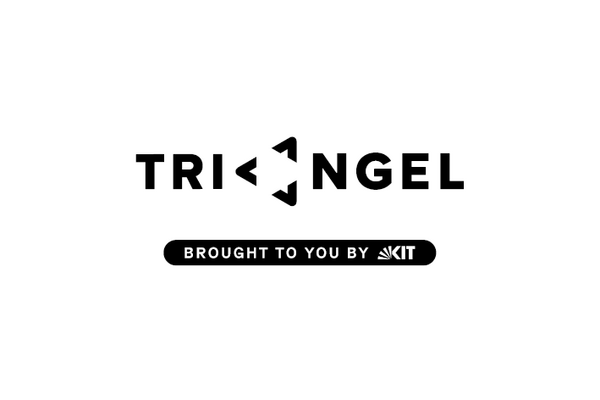 Das Logo des TRIANGEL Transfer | Kultur | Raum